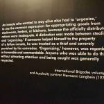 DSC_0098_00087 (June 24, 2023)